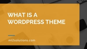 What is a WordPress theme