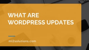 What are WordPress updates
