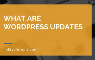 What are WordPress updates